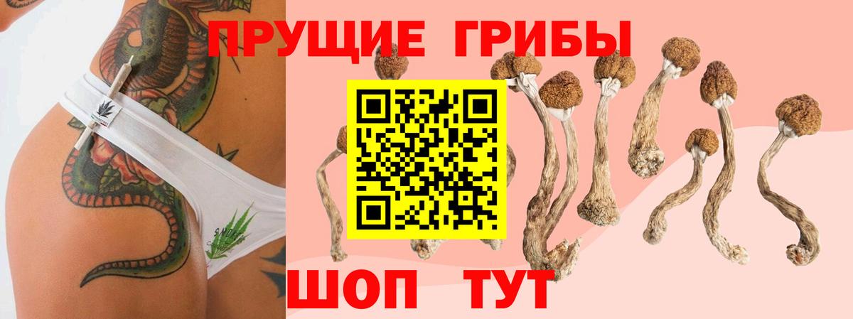 Гусь-Хрустальный  Галлюциногенные грибы прущие грибы  Псилоцибиновые грибы Psilocybe  Вход с VPN 