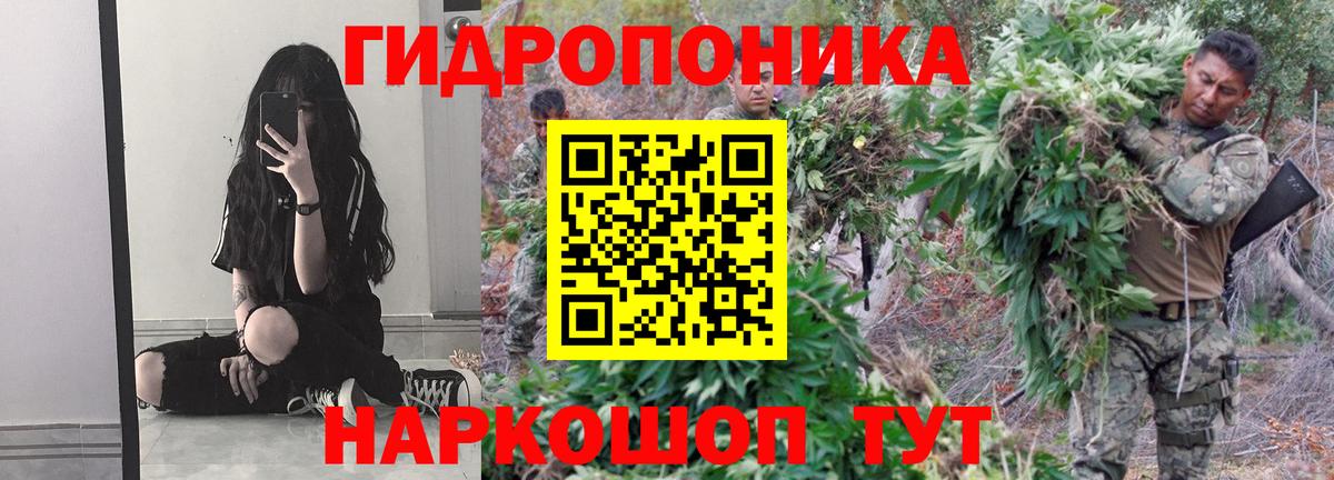 Марихуана индика Гусь-Хрустальный